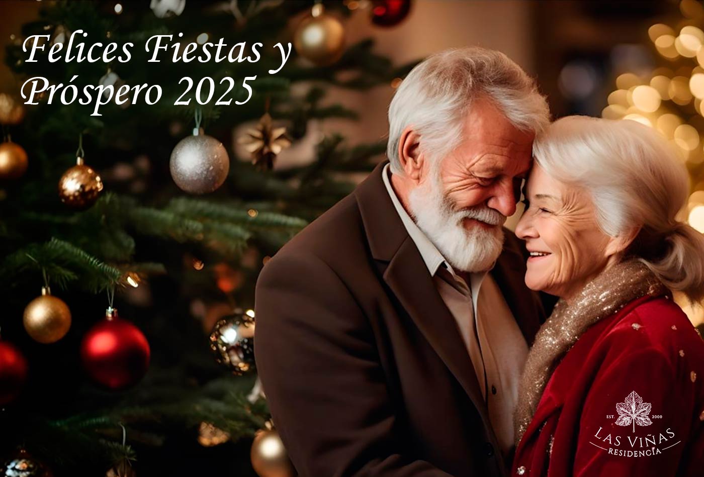 Felices Fiestas y Próspero 2025. Residencia Las Viñas